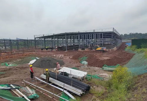 達川區 加快項目建設 厚植產業基礎